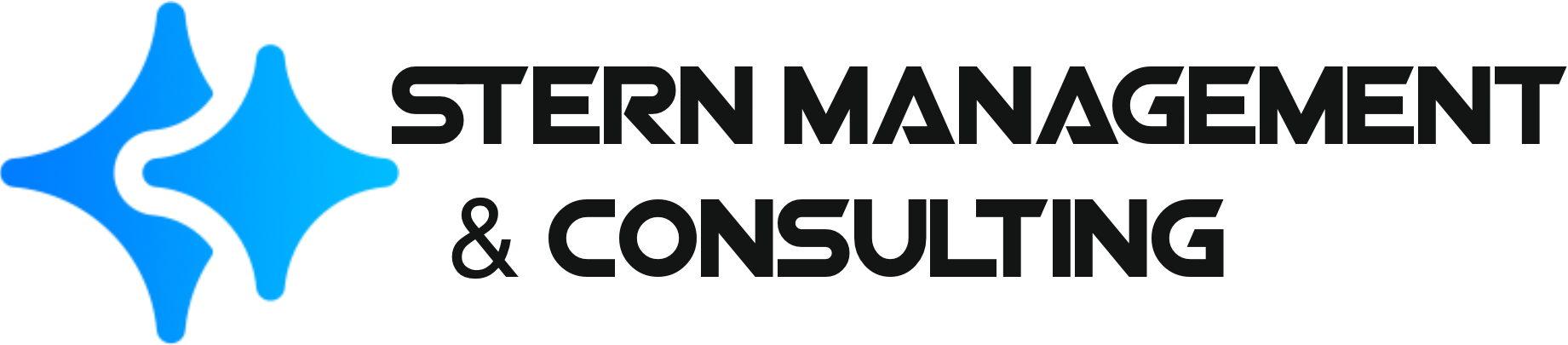 Stern Management & Consulting